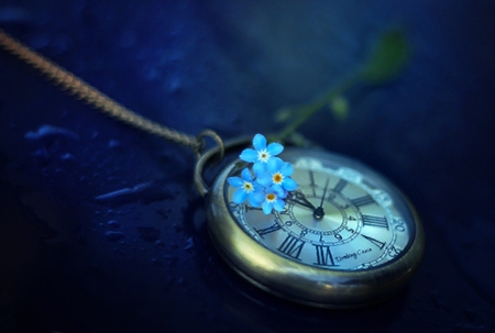 1104814-bigthumbnail