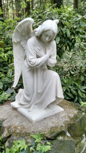 IMG_20160415_163005396_HDR